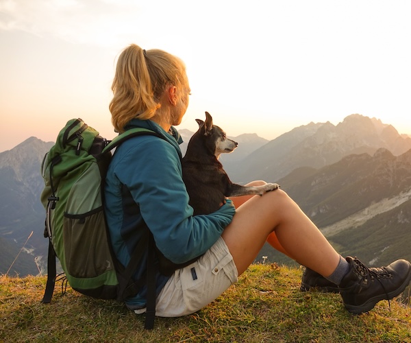 Dog-friendly